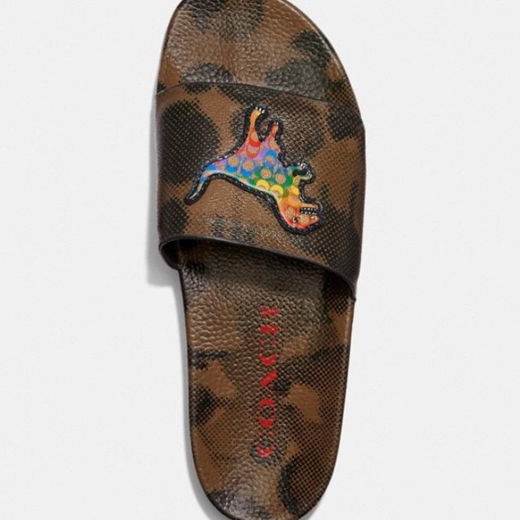rainbow coach slides